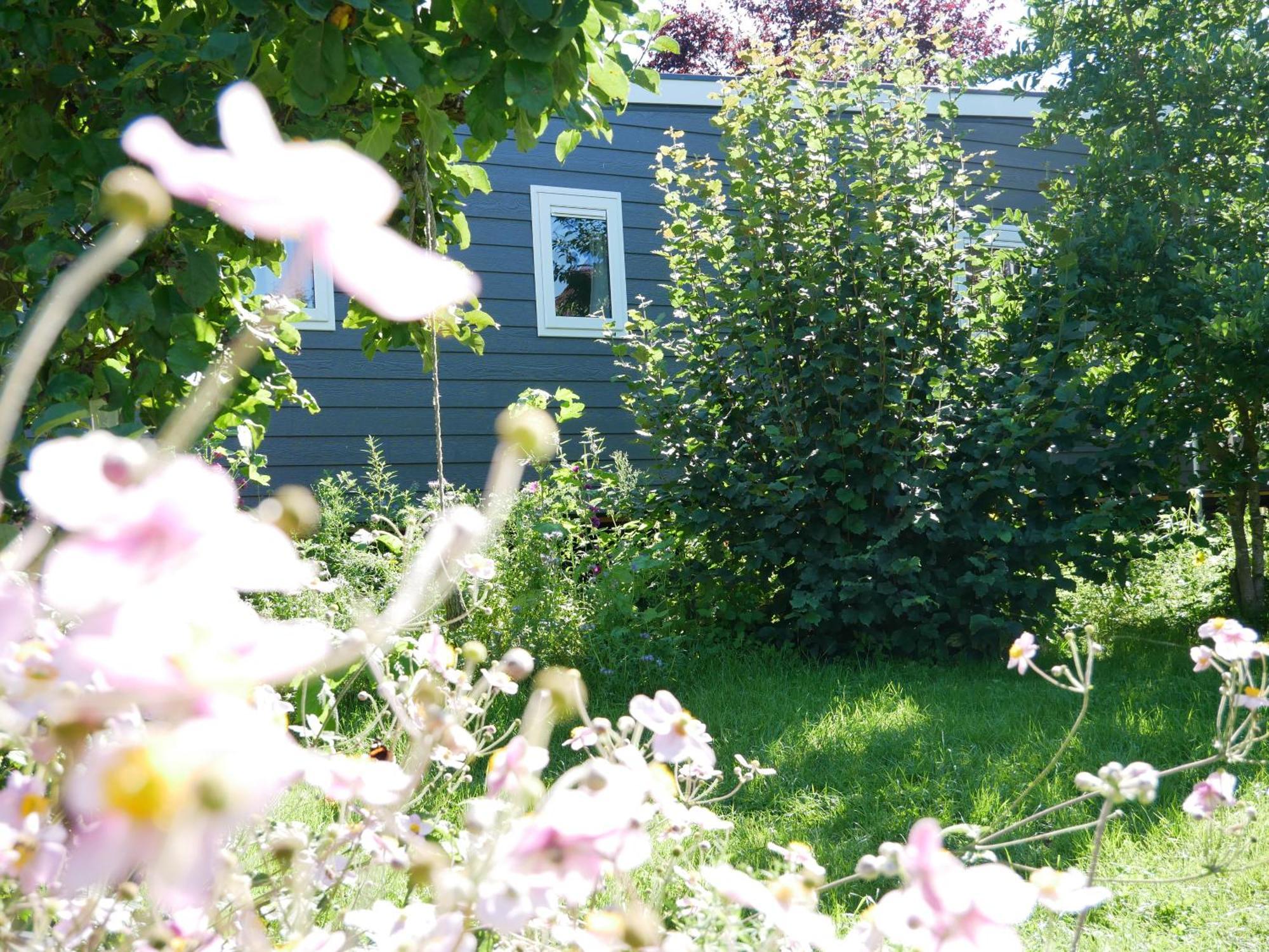Tiny Ferienhaus Kelze Hofgeismar Exterior foto